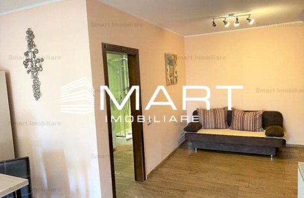 Apartament modern  2 camere zona Sub Arini