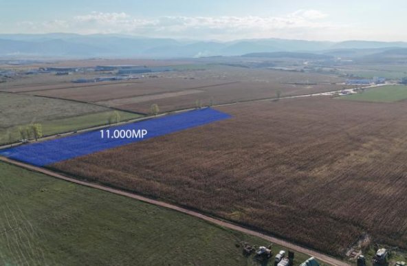 Teren intravilan 11000MP, la drumul principal Calea Surii Mici 