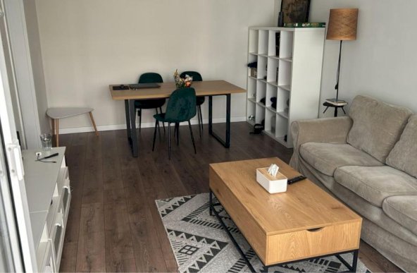 Apartament luminos 2 camere, Tineretului parc. 