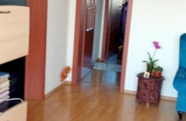 Apartament 3 camere Domenii / Ion Mihalache