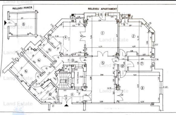 Apartament Cismigiu ( renovat )