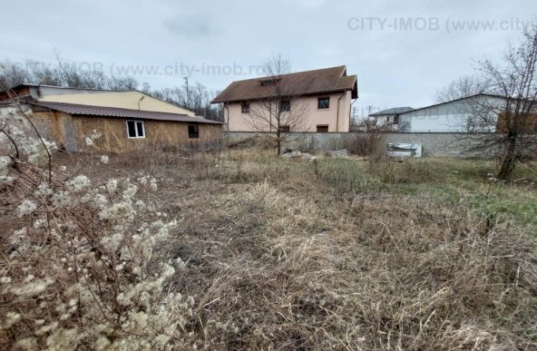 Inchiriere Spatiu Comercial Stradal Mogosoaia