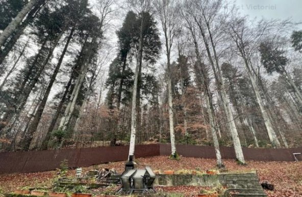 Vanzare casa/vila, Sinaia, Sinaia