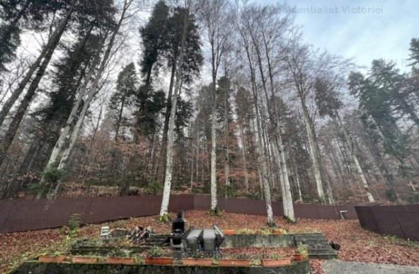 Vanzare casa/vila, Sinaia, Sinaia