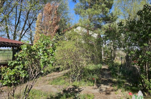 Casuta paradis verde langa padure in Teghes (Domnesti)