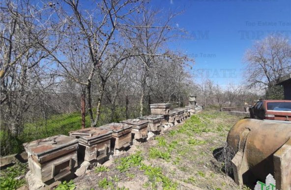 Teren 4000 mp + casa demolabila in Bragadiru/Varteju (Magurele)