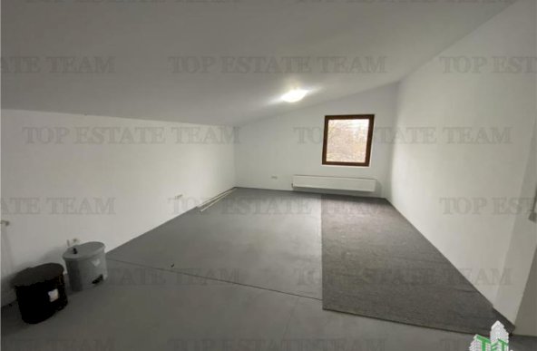 Inchiriere spatiu comercial, 180 mp. zona Doamna Ghica