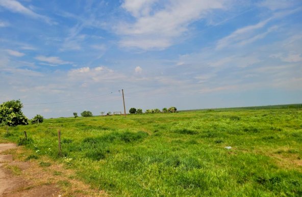 Teren Intravilan, 9,5 ha, 25 KM de Timisoara