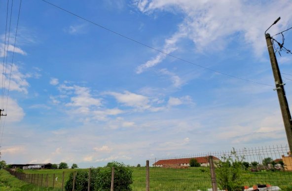 Teren Intravilan, 9,5 ha, 25 KM de Timisoara