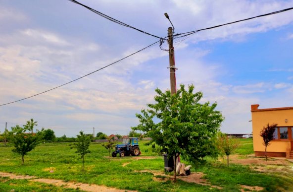 Teren Intravilan, 9,5 ha, 25 KM de Timisoara