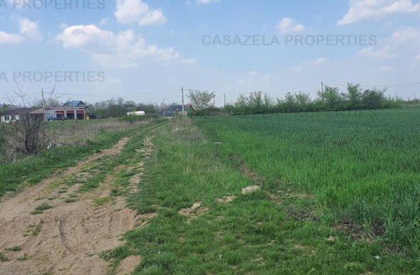 Teren intravilan 9589 mp , Niculesti ( zona Movila ) Dambovita