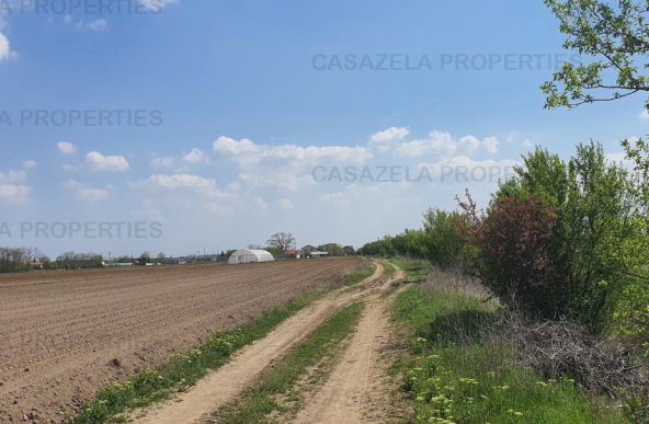 Teren intravilan 8000 mp Darza (cale ferata ) jud.Dambovita