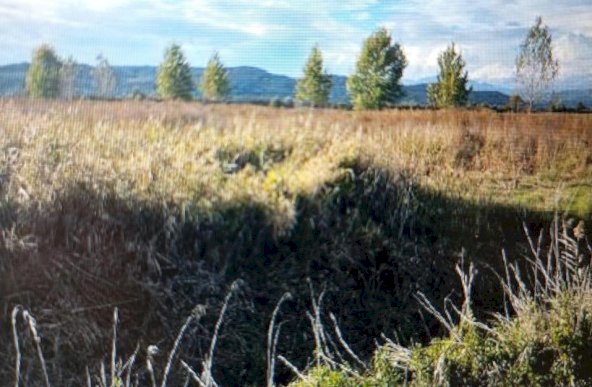 Teren agricol in Magura_jud Valcea