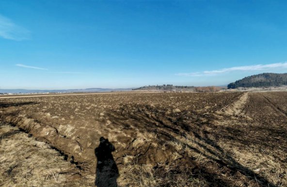 Teren intravilan pentru casa Sanpetru vis a vis de Caminul Maria 