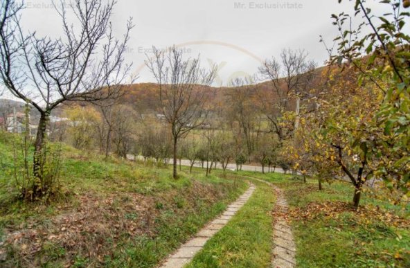 Proprietate deosebita cu vedere panoramica la 10 km de Mioveni. Comision 0%