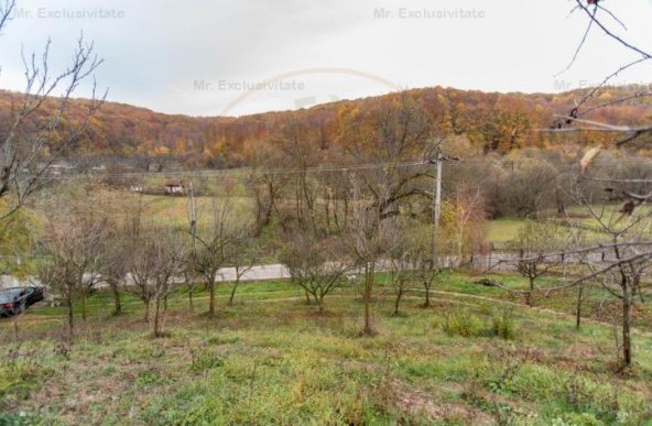 Proprietate deosebita cu vedere panoramica la 10 km de Mioveni. Comision 0%