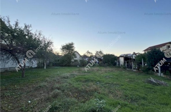 Vanzare casa/vila, Turnisor, Sibiu