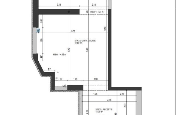 Spatiu comercial 60 mp zona Armeneasca 