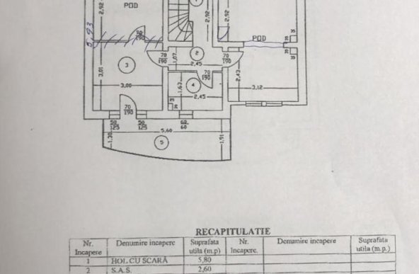 Vila cu 7 camere Brancoveanu, Nitu Vasile