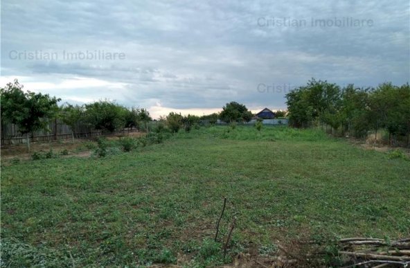 ID 8614 - Teren 1750 mp, zona Cazasu