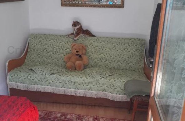 Casa Chercea 2 camere Suprafata 231 mp baie bucatarie toate utilitatile