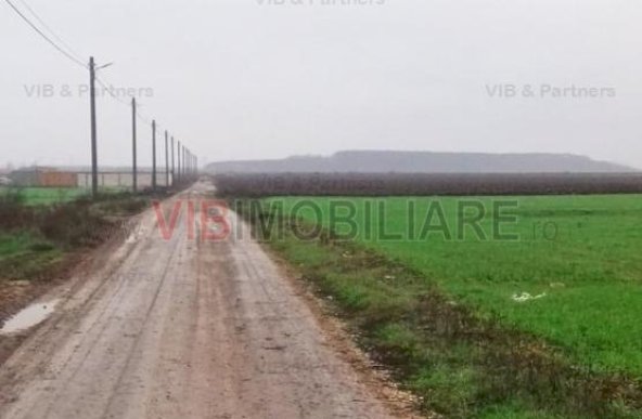 Dragomiresti-Vale - Strada Ulmului, teren intravilan, suprafata 3.750 mp