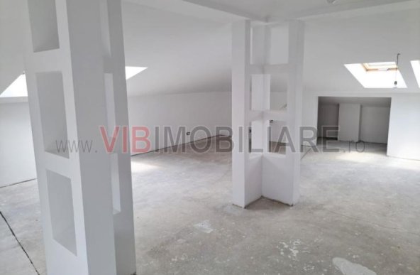 Baneasa - Sisesti, vila S+P+1E+M, 9 camere, suprafata utila 516 mp