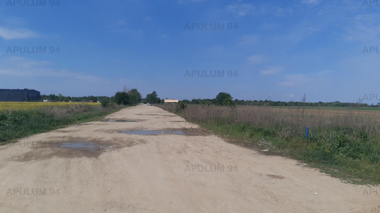 Vanzare Teren Agricol ,zona 1 Decembrie ,strada Gloriei ,9.500 €