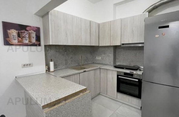 Inchiriere Apartament 3 camere ,zona Cismigiu ,strada Ion Brezoianu, actor ,nr - ,749 € /luna 