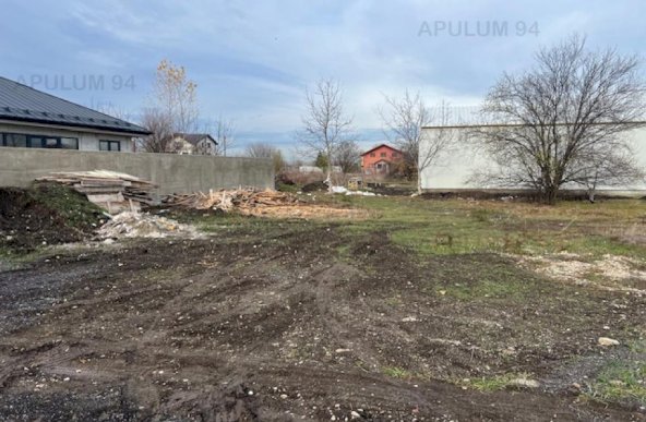 Vanzare Teren Constructii ,zona Cornetu ,strada Aeroportului ,nr 55 ,49.000 €