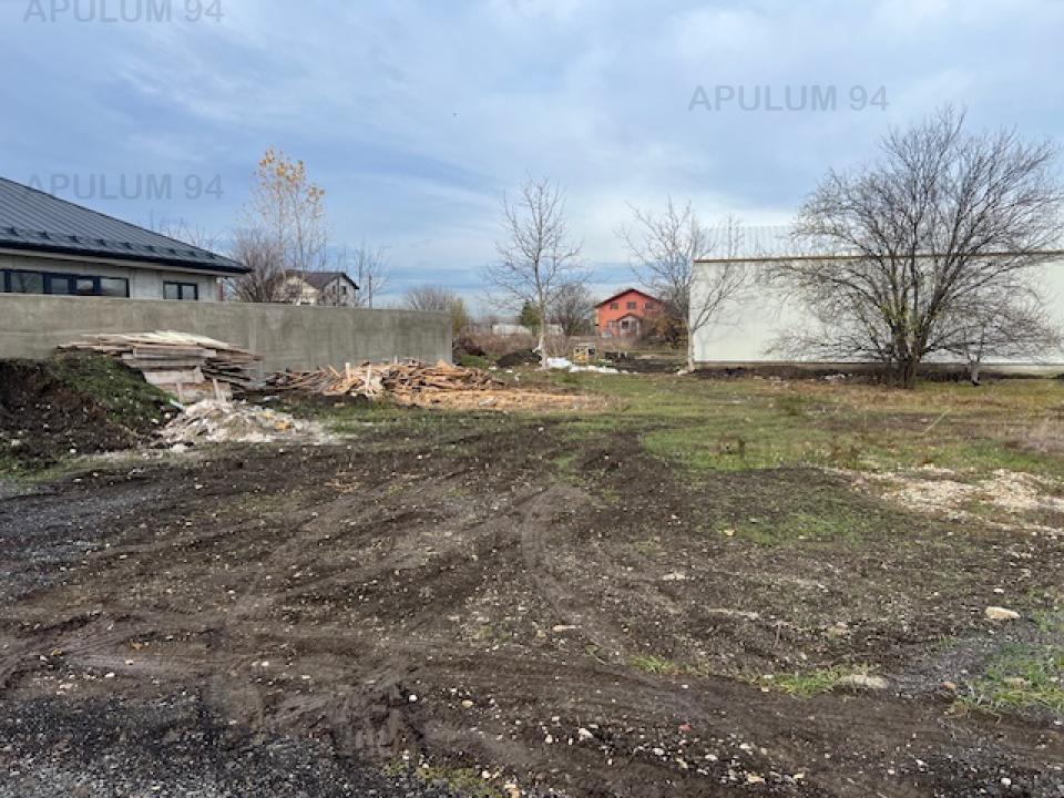 Vanzare Teren Constructii ,zona Cornetu ,strada Aeroportului ,nr 55 ,49.000 €