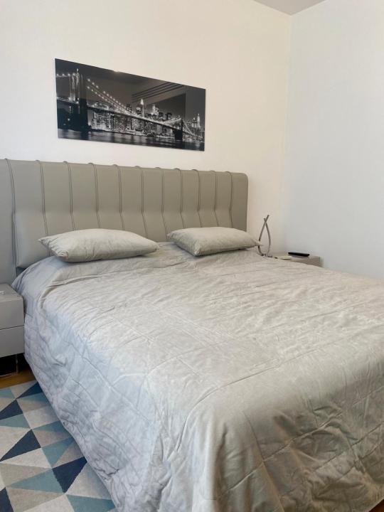 Inchiriere Apartament 3 camere ,zona Universitate ,strada Logofatul Luca Stroici ,nr 11 ,1.900 € /luna 