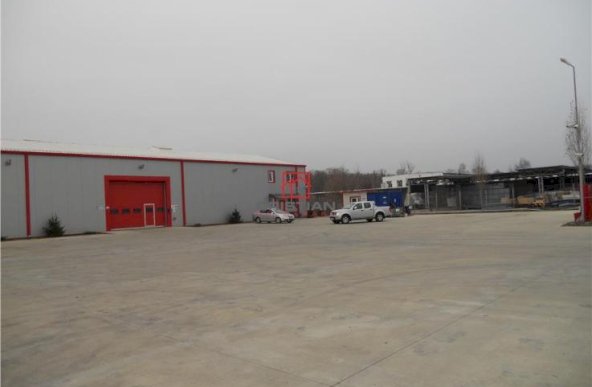 Vanzare spatiu industrial, 9 mai, Ploiesti