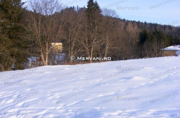 Teren de vanzare in Predeal (zona Valea Rasnoavei)