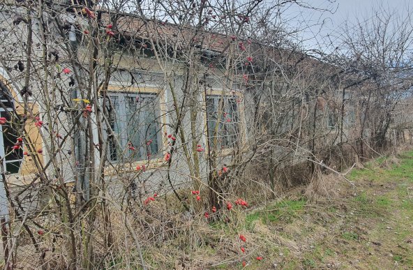 Vanzare casa/vila 6 camere Aluta, Slatina