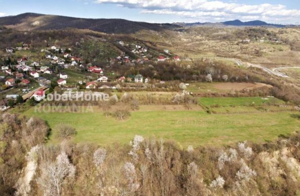 Mountain Plateau - 23.345 SQM - Exclusive Estate | Jud Prahova - Valea Prahovei