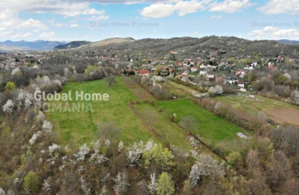 Mountain Plateau - 23.345 SQM - Exclusive Estate | Jud Prahova - Valea Prahovei