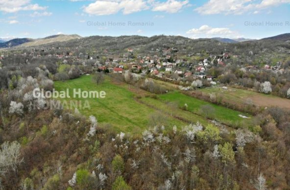 Mountain Plateau - 23.345 SQM - Exclusive Estate | Jud Prahova - Valea Prahovei