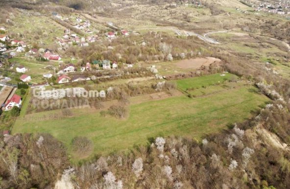 Mountain Plateau - 23.345 SQM - Exclusive Estate | Jud Prahova - Valea Prahovei