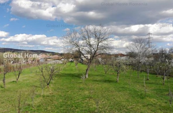 4898 MP Teren Intravilan | Prahova - Cornu De Jos | Toate Utilitatile Prezente