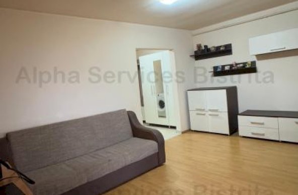 Apartament 2 camere , Valeria Peter Predescu