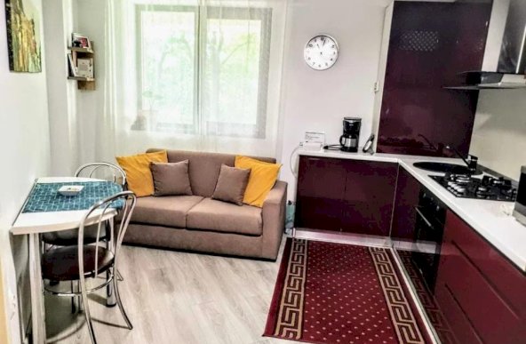 Apartament Ultracentral Palas Mall 