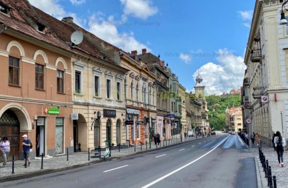 Casa de vanzare Ultracentral str. Muresenilor cu gradina