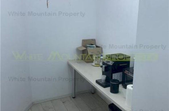 Spatiu comercial 161 mp, inchiriere lunga durata, Bucuresti, Vasile Lascar