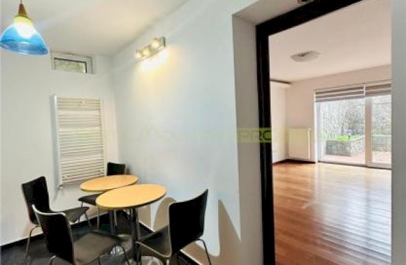 Spatiu comercial duplex 376mp (incl util + terasa) - Floreasca