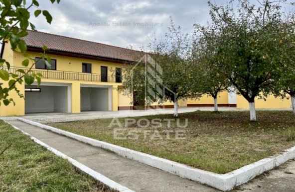 Oportunitate de investistie, teren 5346 mp, 12 camere in Sanovita