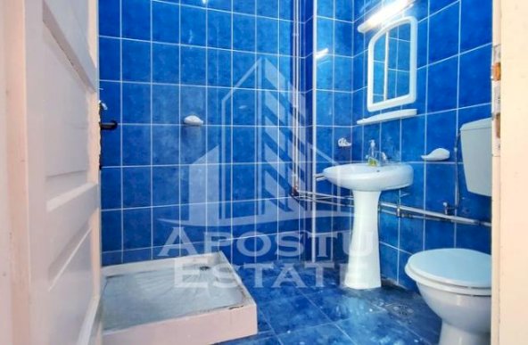 Spatiu comercial,  Zona Intim Arad