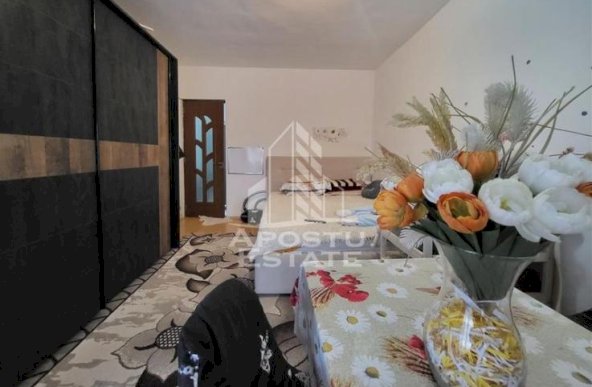 Apartament cu 1 camera, etaj intermediar, langa Iulius Mall