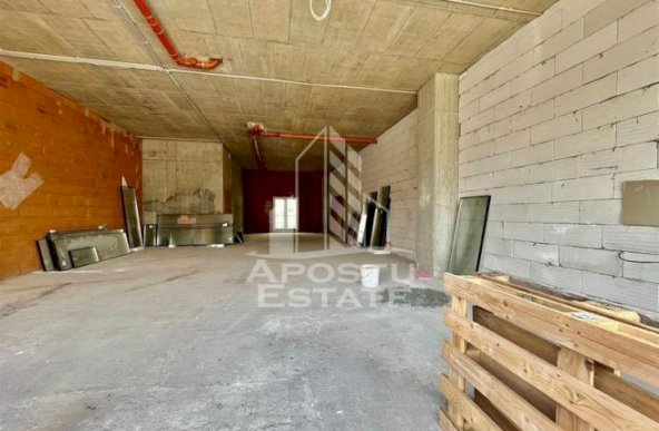 Spatiu comercial, 119 mp utili, zona Take Ionescu