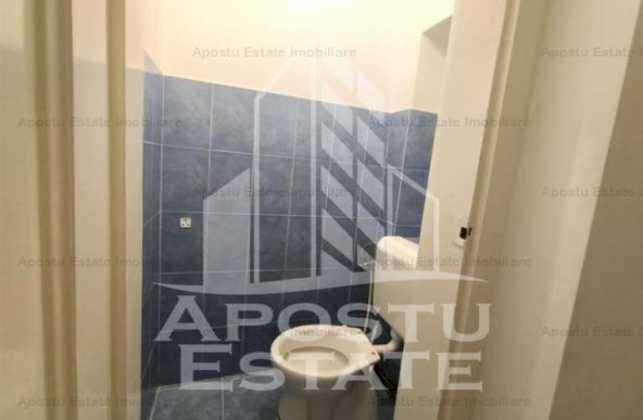 Apartament cu 3 camere la parter, curte individuala, in zona Iosefin